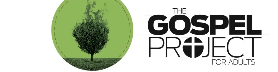 gospel-project-logo1-960x250.jpg